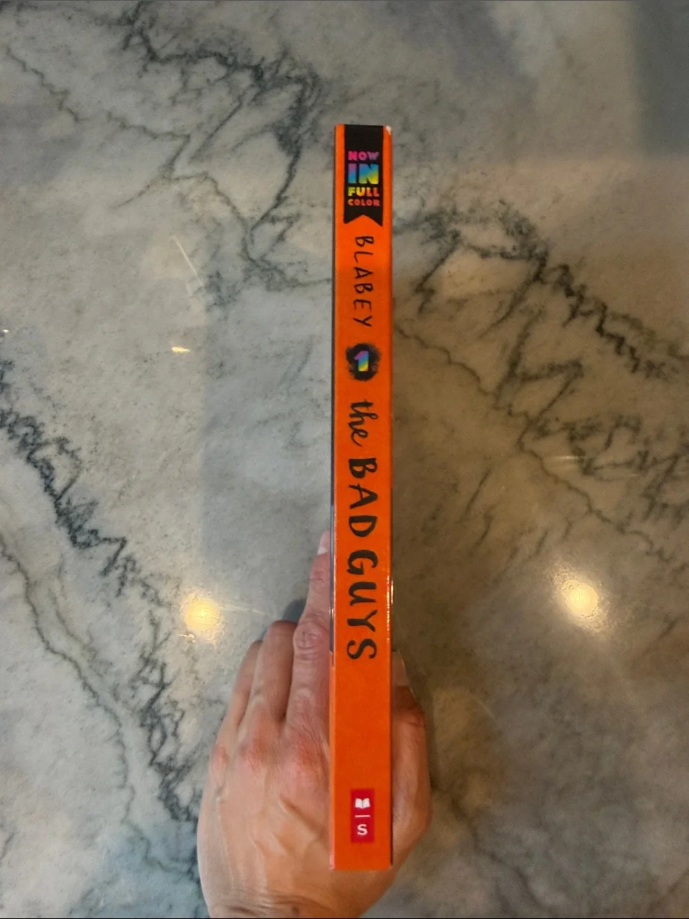 Bad Guys Book - hardcover